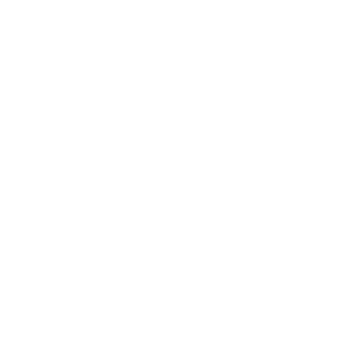 Shopping icon